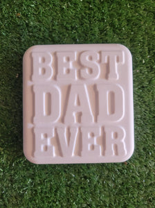 Father's Day Plaster Sets