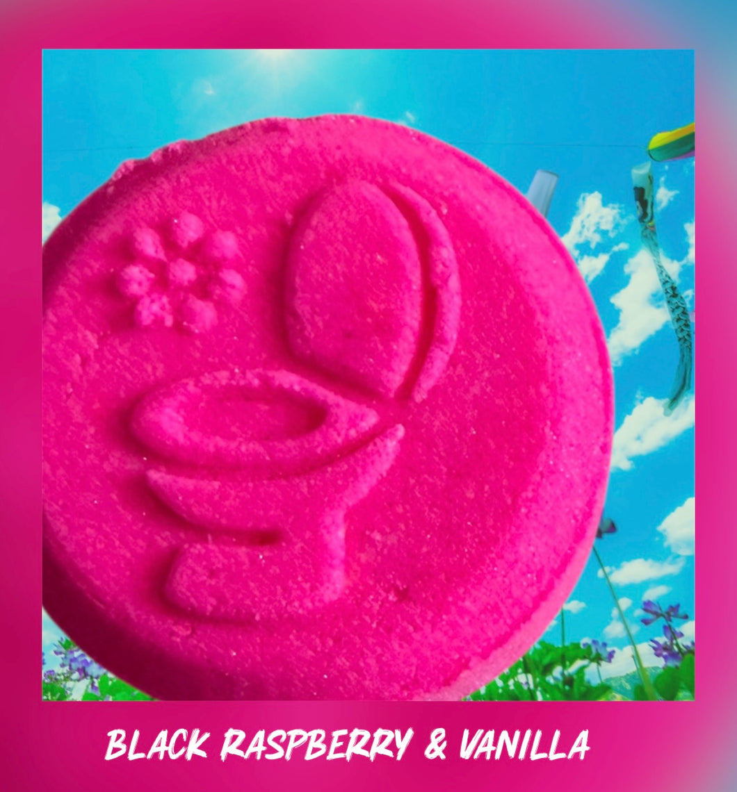 Fizz & Flush Set of 6 Toilet Refreshing Disks