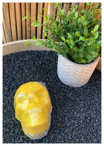 Large  Skull Bath Bombs