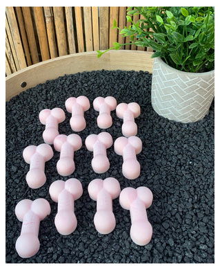 Dicks In A Box (Soy Wax ) Melts set of 12